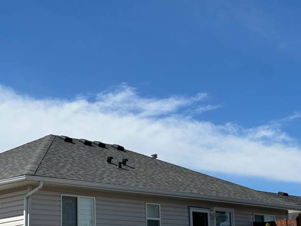 Asphalt Shingles Roofing in Ladysmith, WI